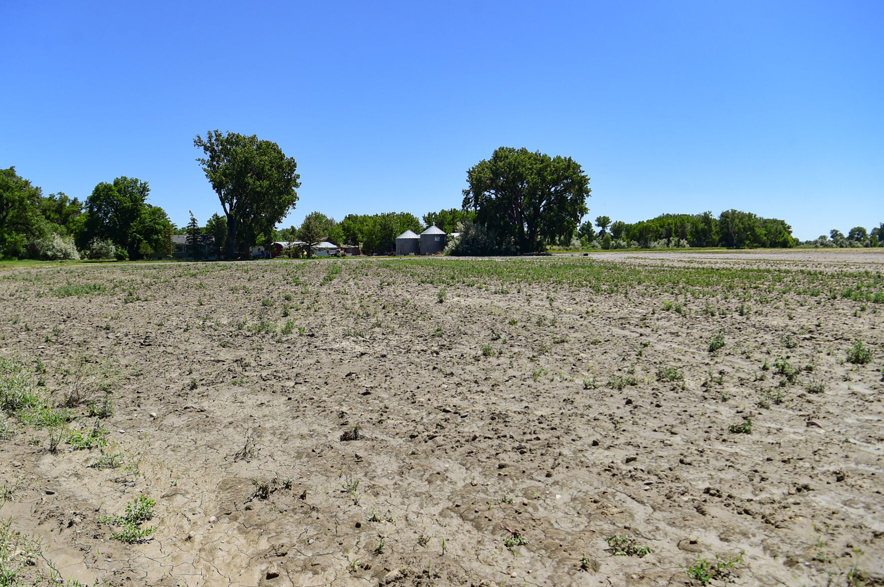 Flooding hurts ag land near Fromberg